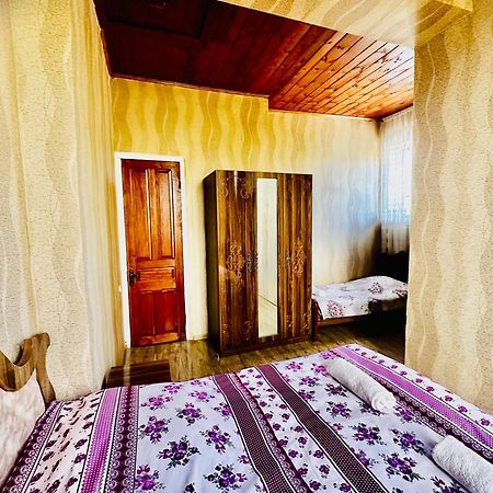 Guesthouse Kamelia Martvili Εξωτερικό φωτογραφία