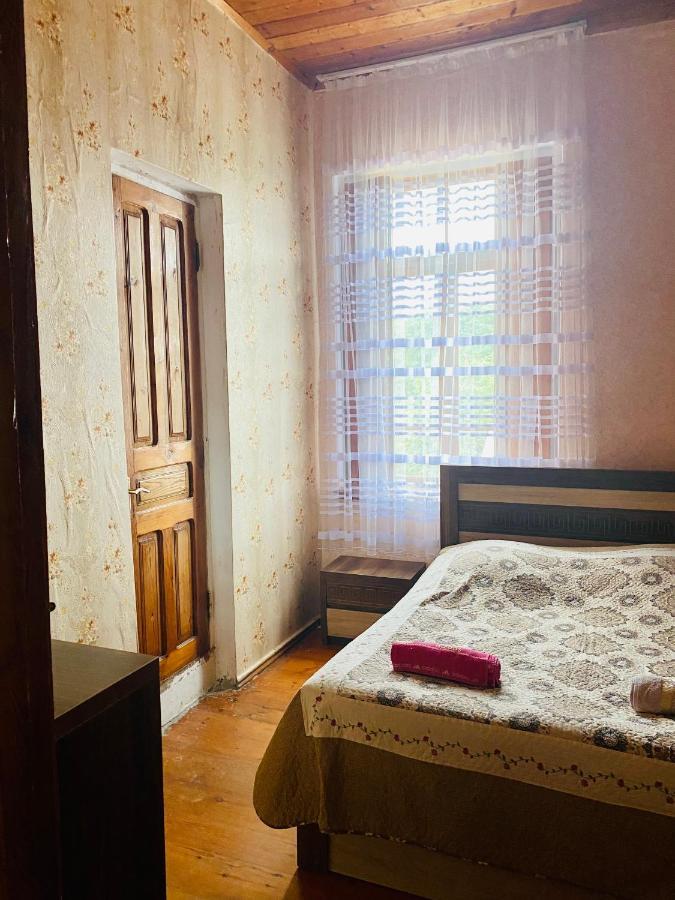 Guesthouse Kamelia Martvili Εξωτερικό φωτογραφία