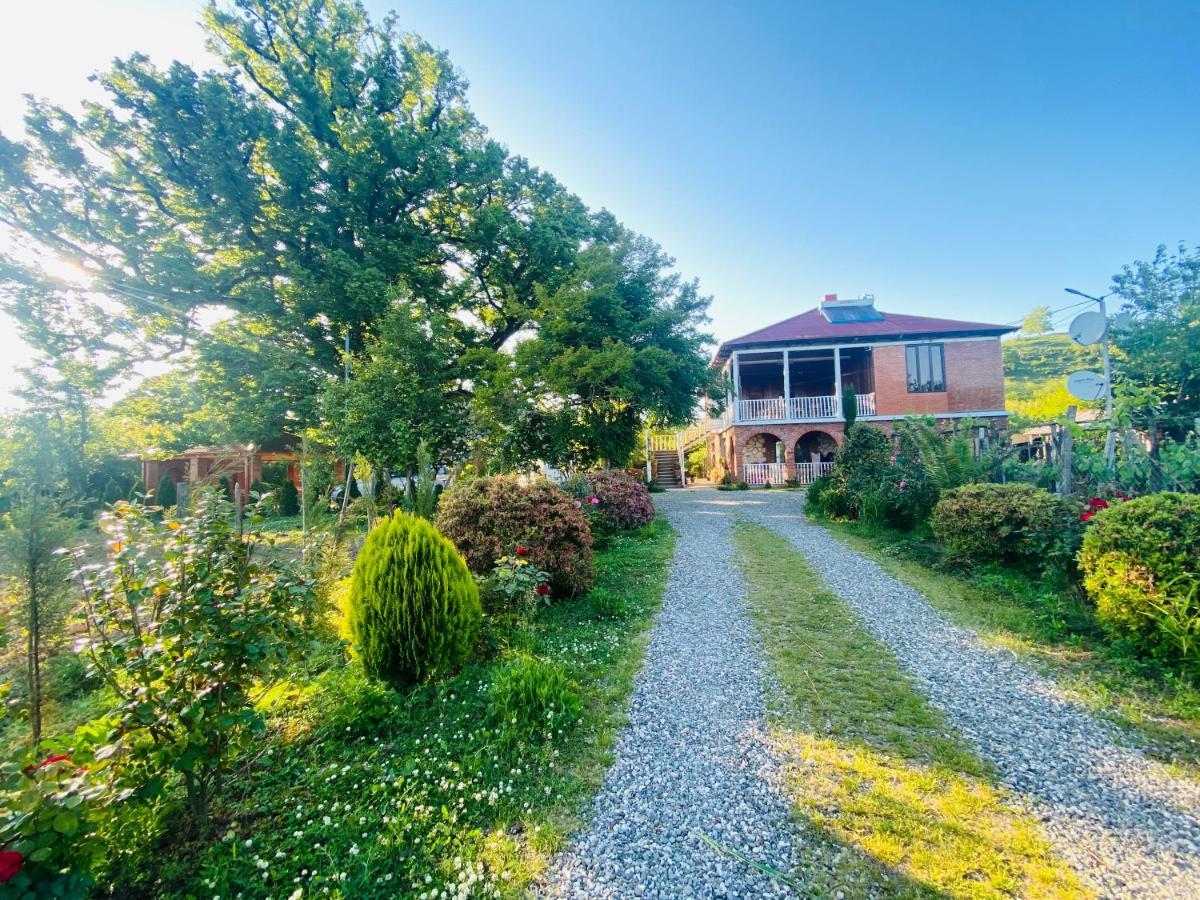 Guesthouse Kamelia Martvili Εξωτερικό φωτογραφία