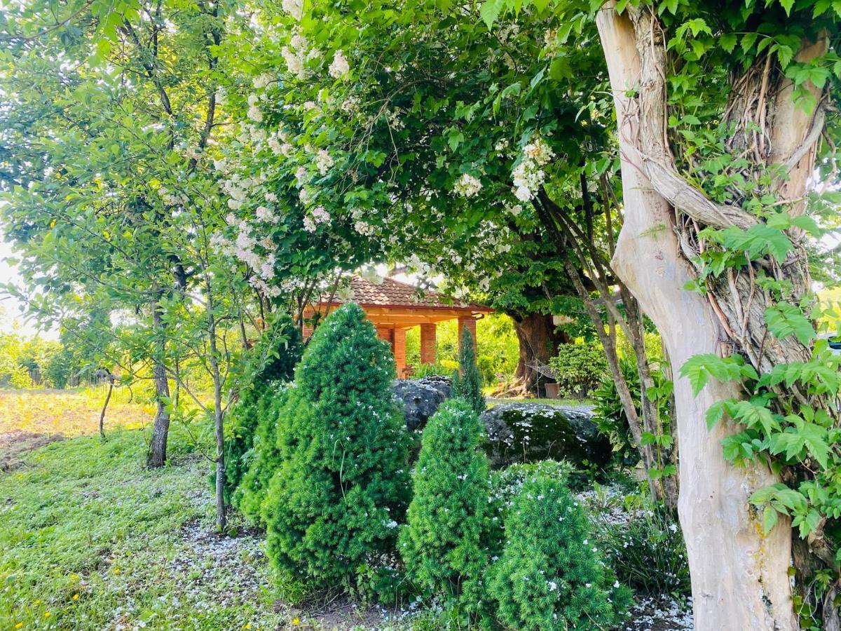 Guesthouse Kamelia Martvili Εξωτερικό φωτογραφία