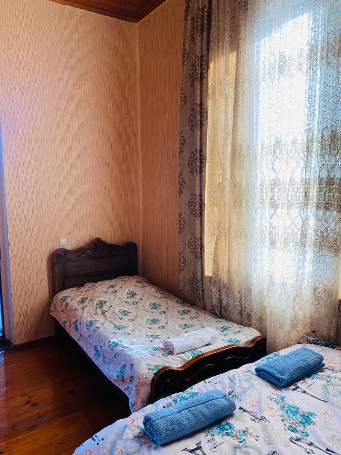Guesthouse Kamelia Martvili Εξωτερικό φωτογραφία
