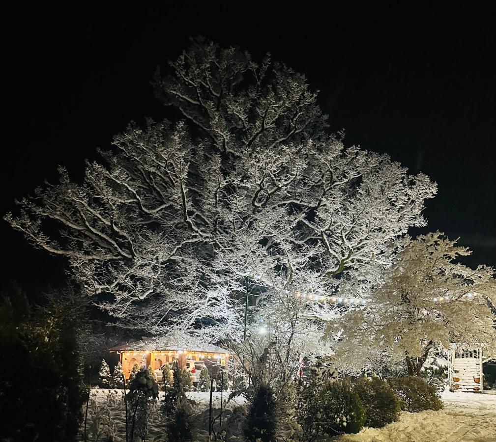 Guesthouse Kamelia Martvili Εξωτερικό φωτογραφία