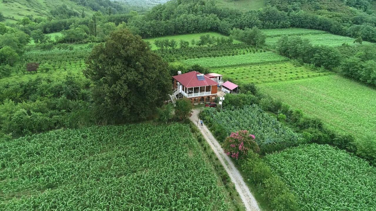 Guesthouse Kamelia Martvili Εξωτερικό φωτογραφία