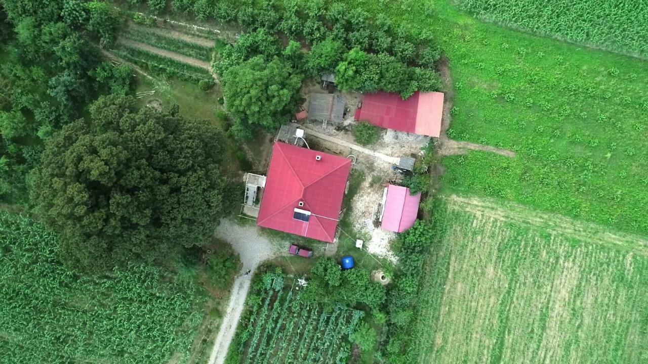 Guesthouse Kamelia Martvili Εξωτερικό φωτογραφία