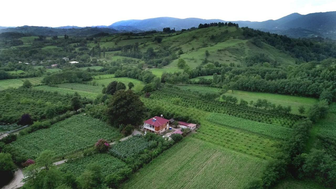 Guesthouse Kamelia Martvili Εξωτερικό φωτογραφία