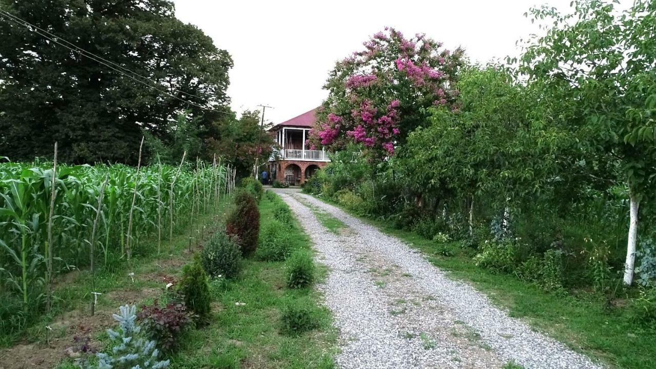 Guesthouse Kamelia Martvili Εξωτερικό φωτογραφία