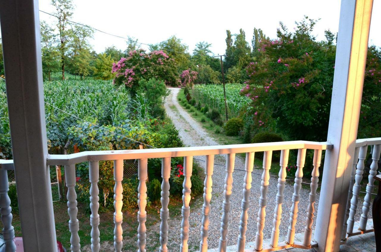 Guesthouse Kamelia Martvili Εξωτερικό φωτογραφία