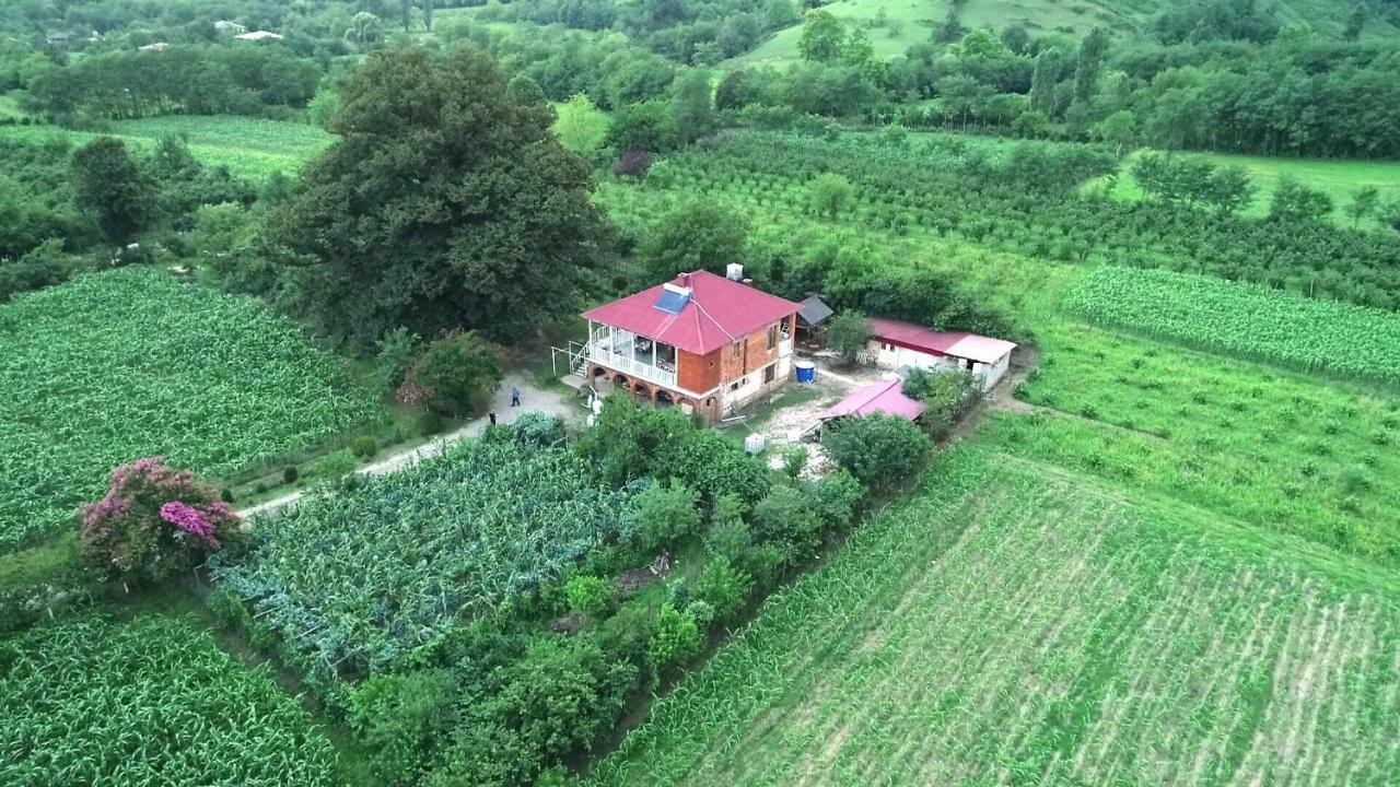 Guesthouse Kamelia Martvili Εξωτερικό φωτογραφία