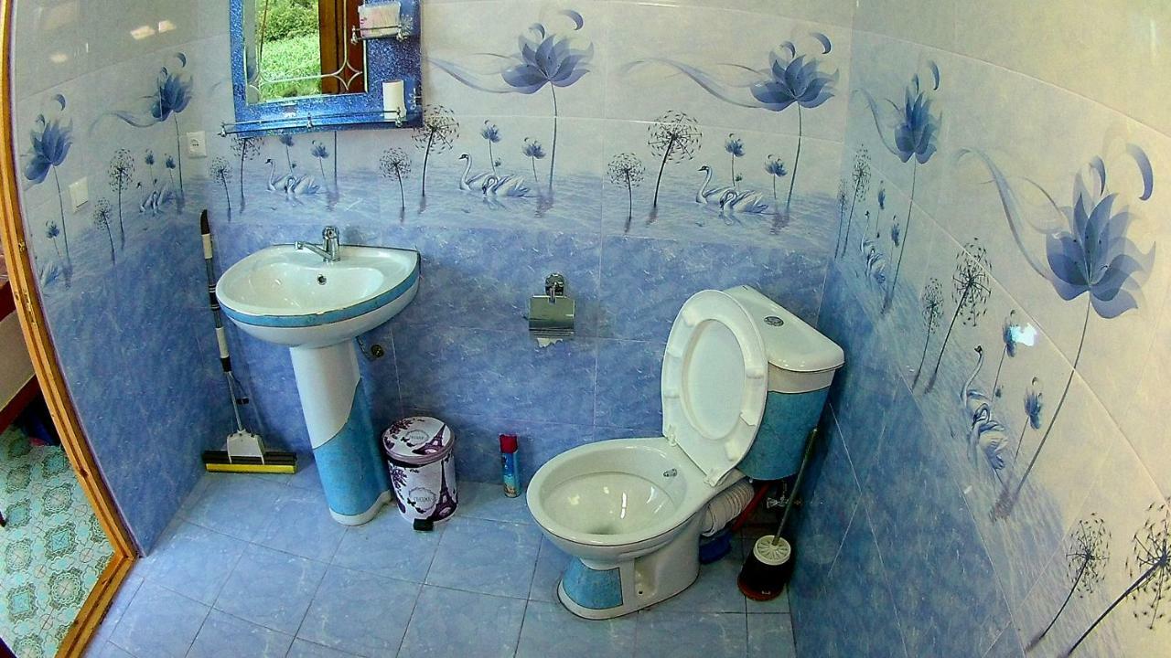 Guesthouse Kamelia Martvili Εξωτερικό φωτογραφία